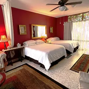 dickinson-guest-house-bb.guadalajarahotels.info/